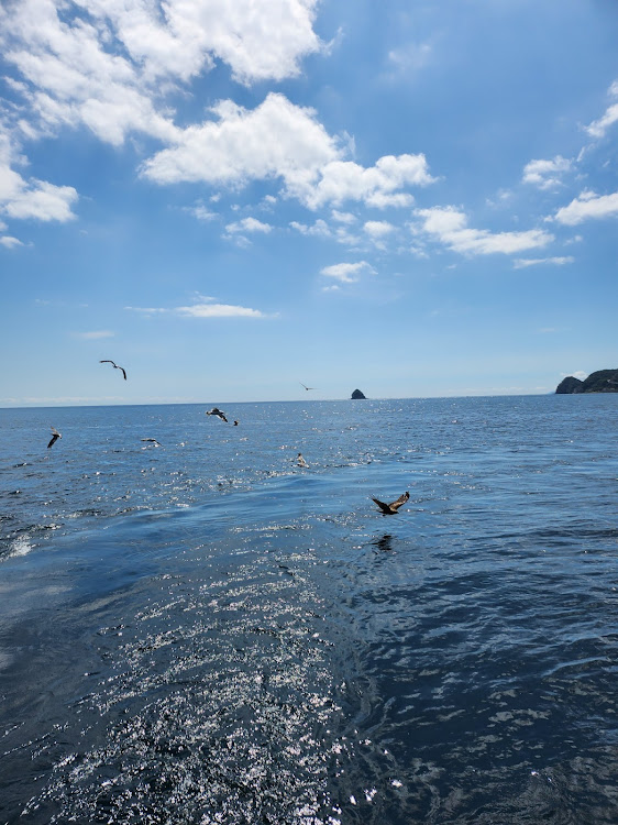 アルファードの熱中症に気をつけて!!・夏休み・家族旅行に関するカスタム事例の投稿画像3枚目