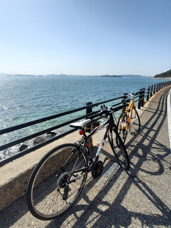ビアンテのFUJI・GIANT・ビアンテに関するカスタム事例の投稿画像3枚目