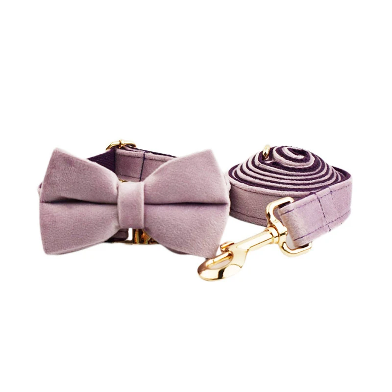 Collier en velours pour animaux de compagnie avec laisse de traction, doux et élégant, pour un contrôle sûr et confortable lors des promenades.