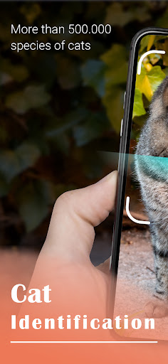 Screenshot Cat Identifier - Cat Scanner