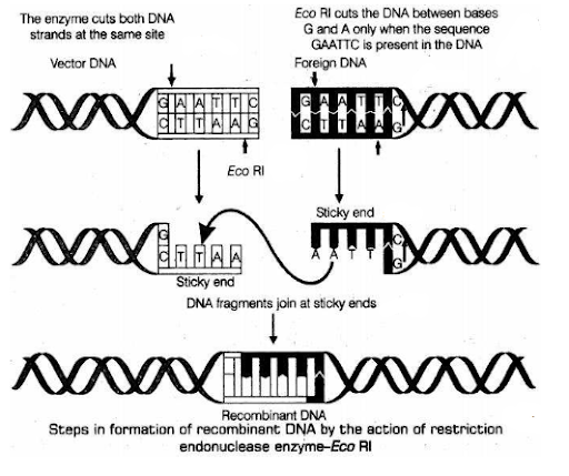 Solution Image