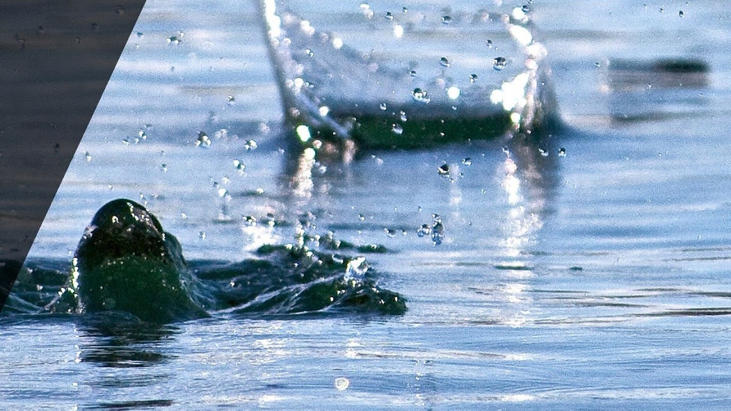 Watch Franklin Rock River Stone Skipping Tournament live