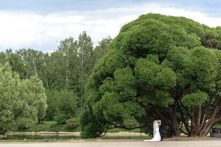 Jurufoto perkahwinan Aleksandr Melanchenko (melanchenko). Foto pada 20 Jun 2018