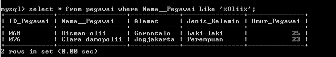 C:\Users\Aras\Documents\Tugas semester 1\Basis data\Tugas besar\7 Like, Order by, Grup By, Asc, Des\Like\Pegawai\Like 26.PNG