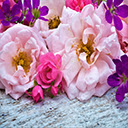 Peonies Flower Wallpapers for New Tab 