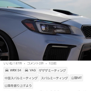 WRX S4 VAG