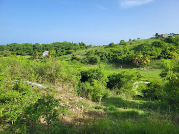 terrain à Le gosier (971)