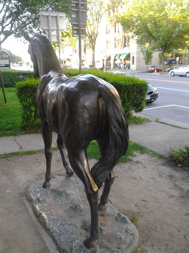 Bronze Horse