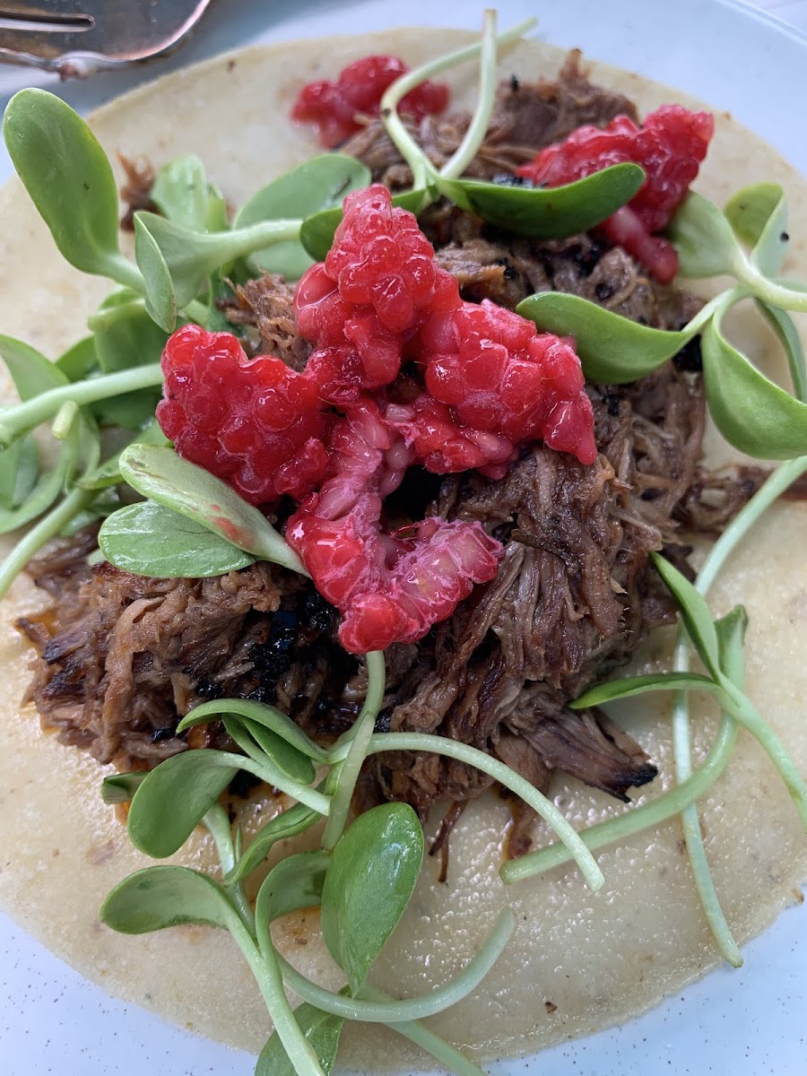 Bison taco