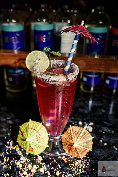 Cranberry Mojito