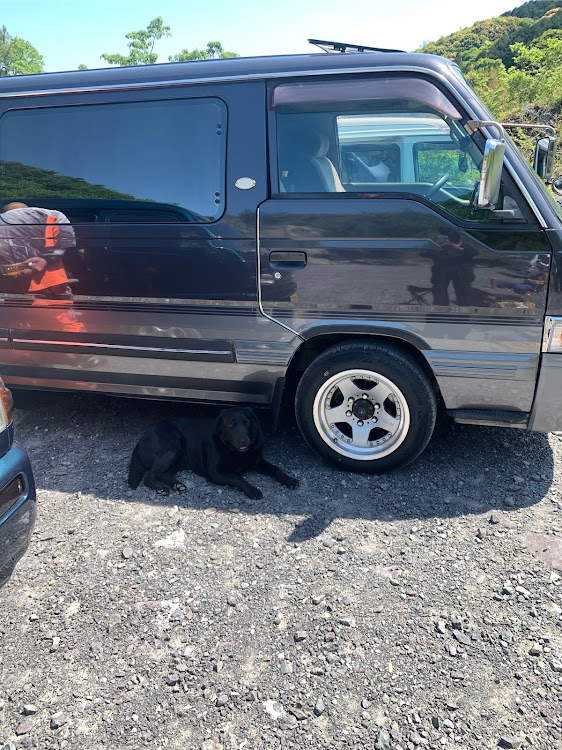 ホーミーコーチのMーFさんが投稿したカスタム事例の投稿画像1枚目