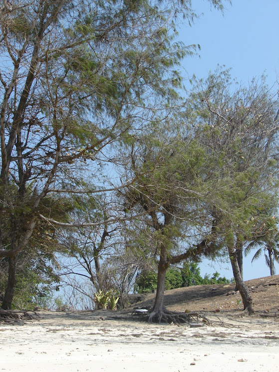 plage de Tanjung Aan