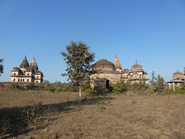 UN POQUITO DE INDIA Y UN POQUITO DE NEPAL - Blogs de India - DE AGRA A KHAJURAHO PASANDO POR ORCHHA (21)