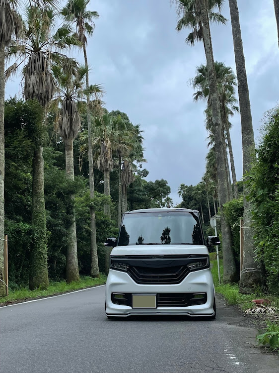 Nボックスカスタムの伊豆フォルニア🌴・カメ活📸・秋の気配・レオンハルトゲミュート・ステルスブレーキキットに関するカスタム事例の投稿画像3枚目