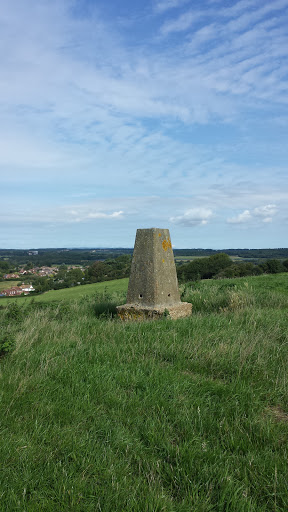 Trig Point 