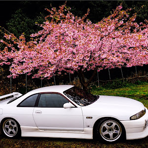 スカイライン R33