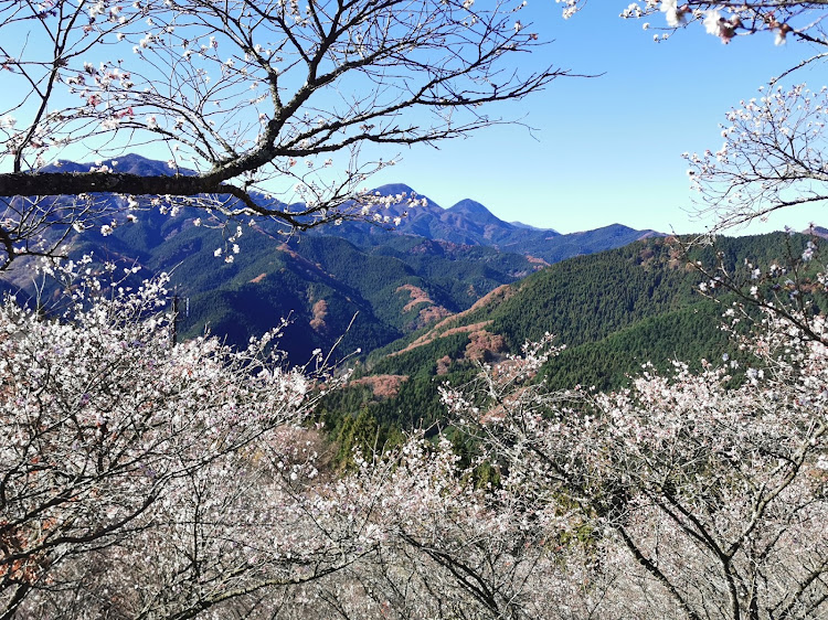 の投稿画像32枚目