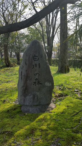 白川の森　Shirakawa Forest