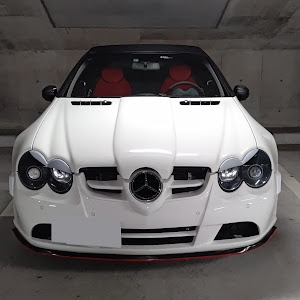 SL SL500