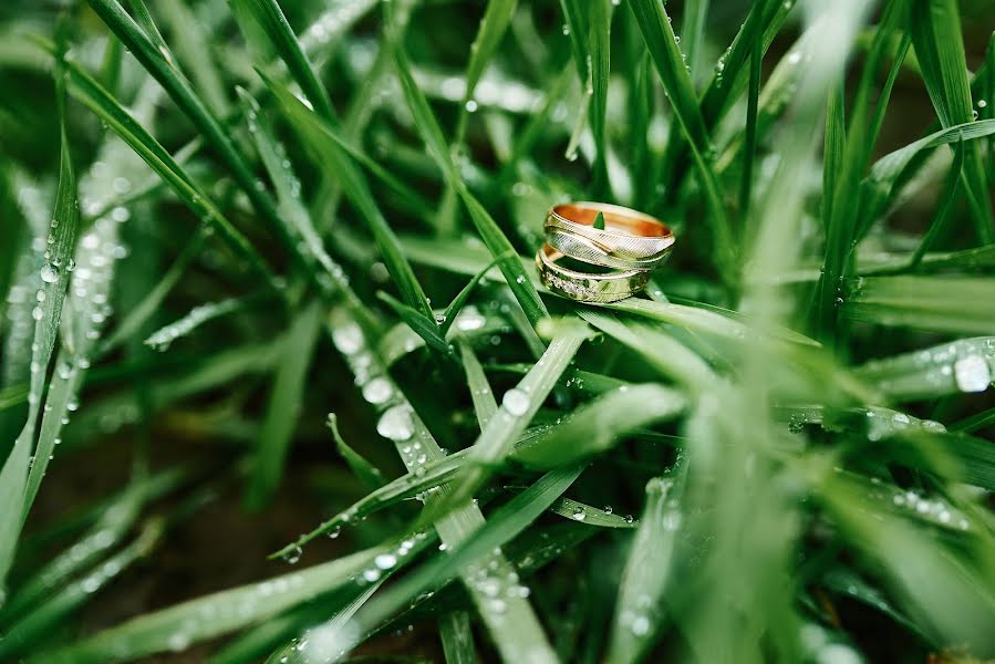 Fotografo di matrimoni Andrey Drozdov (adeo). Foto del 2 gennaio 2016