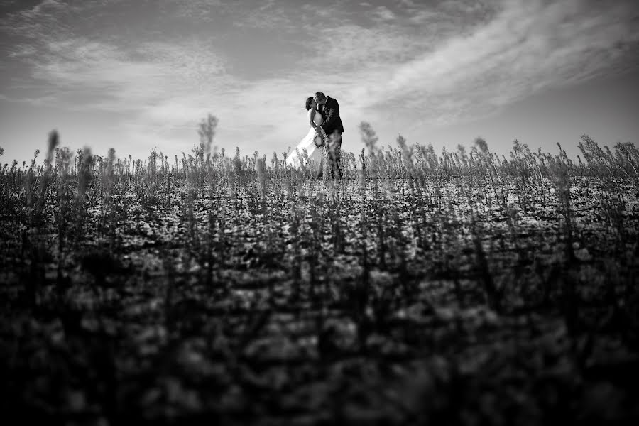 Fotografo di matrimoni Adam Szczepaniak (joannaplusadam). Foto del 19 ottobre 2015