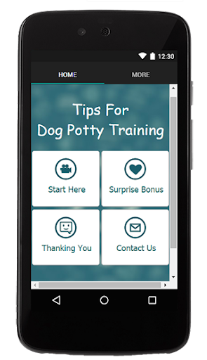 Tips For Dog Potty Training