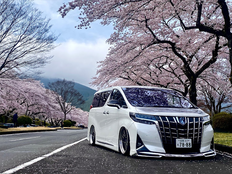 アルファードのサクラと愛車に関するカスタム事例の投稿画像2枚目