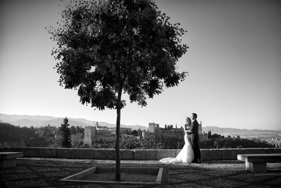 Fotógrafo de bodas Carlos Martínez (carlosmartnez). Foto del 12 de junio 2015