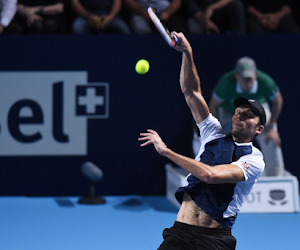 Karlovic knokt zich naar finale in Rosmalen