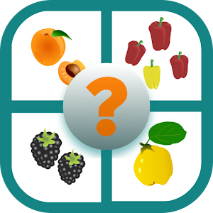 Download Fruit and vegetables quiz For PC Windows and Mac