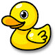 Cute Ducks HD Wallpaper New Tab Themes