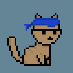 PunkCat #4000