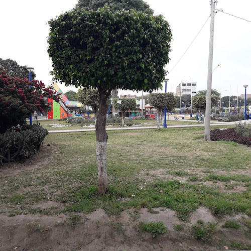 Opiniones de Caporales Centralistas San Miguel Filial Lima en Cañete - Escuela de danza