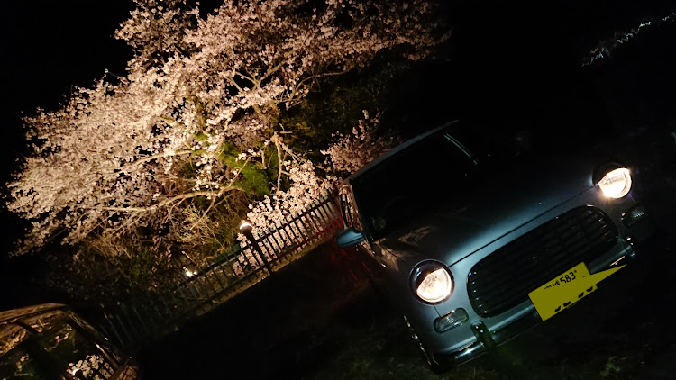 Ｋさんが投稿した桜コラボに関するカスタム事例の投稿画像2枚目