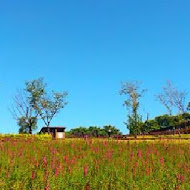 大溪花海農場