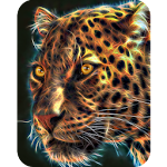 Cover Image of Download Panther, live wallpaper. 1.0.0.5 APK