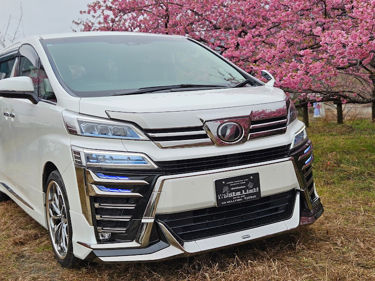 ヴェルファイアの河津桜・河津桜とコラボ・ヴェルファイア・ヴォクシー・カメ活練習に関するカスタム事例の投稿画像9枚目