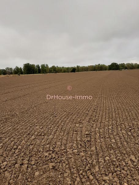 Vente terrain  4000 m² à Fenouillet (31150), 32 000 €