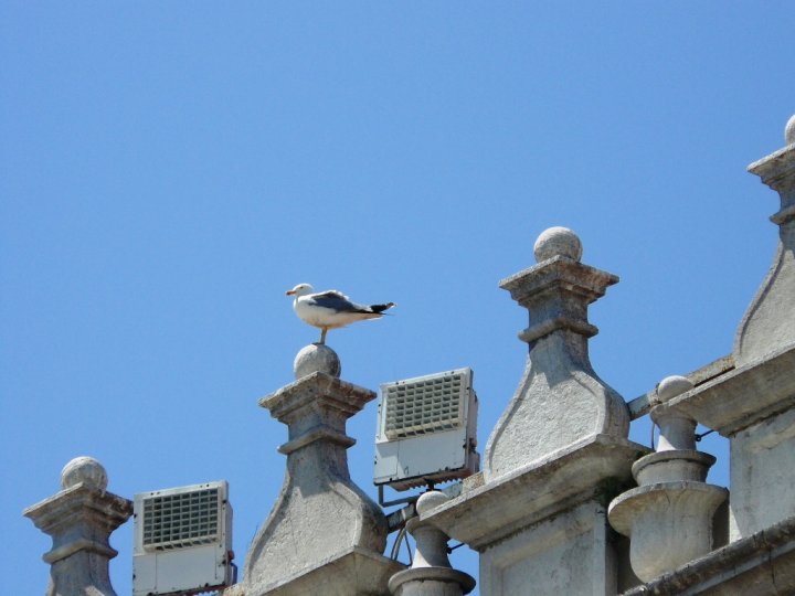 Il guardiano di Venezia di valen