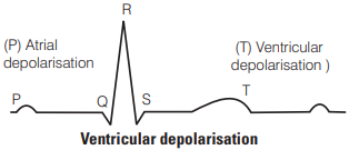 Solution Image