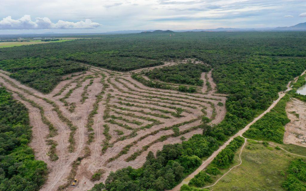 Land clearing in the Phnom Tamao forest on August 1, 2022. (Kuoy Langdy/VOD)