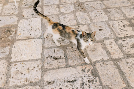 Bröllopsfotograf Federica Ariemma (federicaariemma). Foto av 9 maj 2023