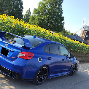 WRX S4 VAG
