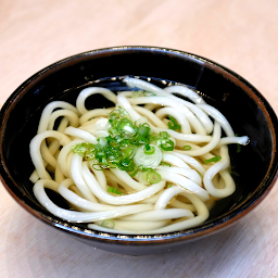 Kake Udon かけうどん