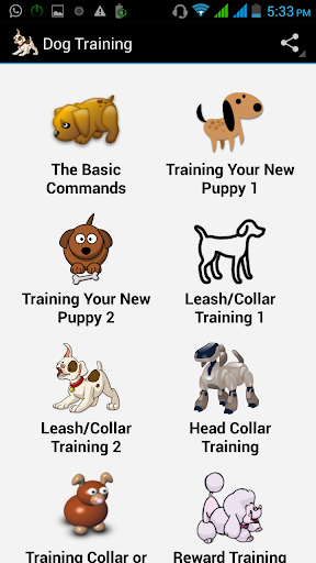 Dog Training