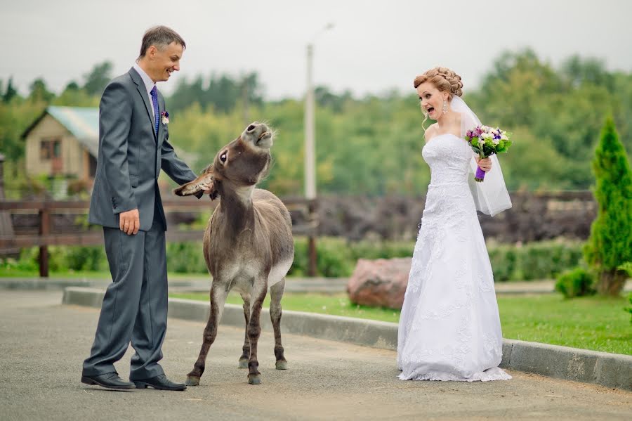 結婚式の写真家Andrey Klevcov (fellow)。2014 11月1日の写真