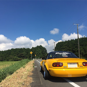 ロードスター NA8C