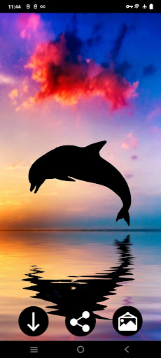 Screenshot Dolphin Wallpapers