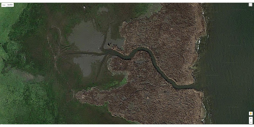 Louisiana Tides for Fishing