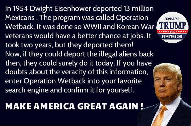 Billedresultat for deporting aliens